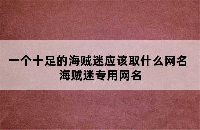 一个十足的海贼迷应该取什么网名 海贼迷专用网名